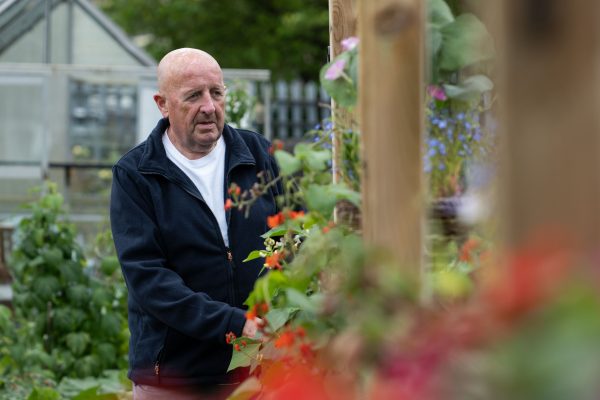 Older man tending to plants and flowers in a greenhouse garden filled with colourful blooms and wooden frames.